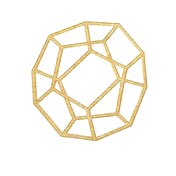 PRECIOUS SKIN ELIXIRS